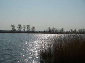 Foto: Am Peenestrom Foto: Am Peenestrom