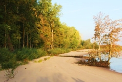 Naturnahe Ufer Naturnahe Ufer