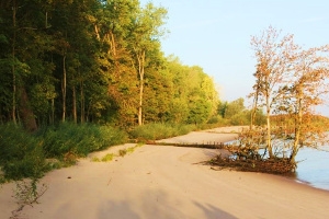 Das Bild zeigt ein naturnahes Ufer bei Hanskalbsand (Foto: M. Heuner) Das Bild zeigt ein naturnahes Ufer bei Hanskalbsand (Foto: M. Heuner)