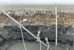 Wellenschlagsbelastung von Uferböden Wellenschlagsbelastung von Uferböden