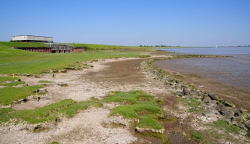 Naturnahe Ufer Naturnahe Ufer