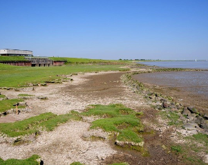 Das Bild zeigt die Sicherung der Erosionskante durch Steinwalzen bei Coldeborg (Foto: Roeloffzen, WSA Ems-Nordsee) Das Bild zeigt die Sicherung der Erosionskante durch Steinwalzen bei Coldeborg (Foto: Roeloffzen, WSA Ems-Nordsee)