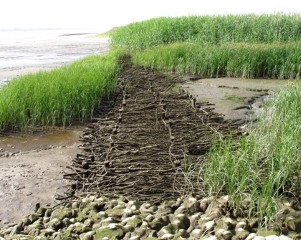Das Bild zeigt Faschinenparallelwerk zum Schutz von Ufern und Buhne und zur Förderung von Watt- und Röhrichtentwicklung (Foto: WSA Weser-Jade-Nordsee) Das Bild zeigt Faschinenparallelwerk zum Schutz von Ufern und Buhne und zur Förderung von Watt- und Röhrichtentwicklung (Foto: WSA Weser-Jade-Nordsee)